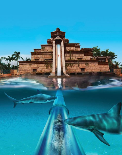 Golfreisen: Atlantis The Palm Dubai Emirate