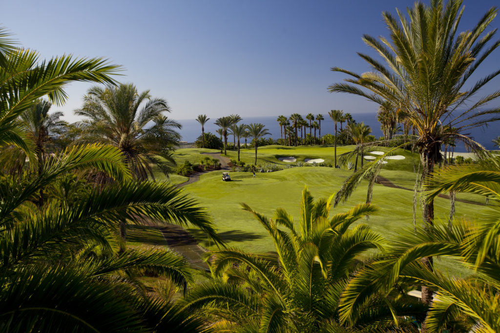 Abama Golf Course Teneriffa Palmen