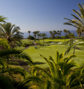 Abama Golf Course Teneriffa Palmen