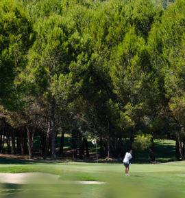 Golfplatz Son Quint Mallorca Green