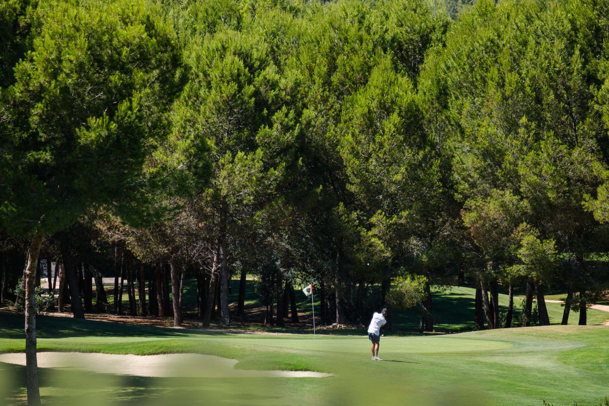 Golfplatz Son Quint Mallorca Green