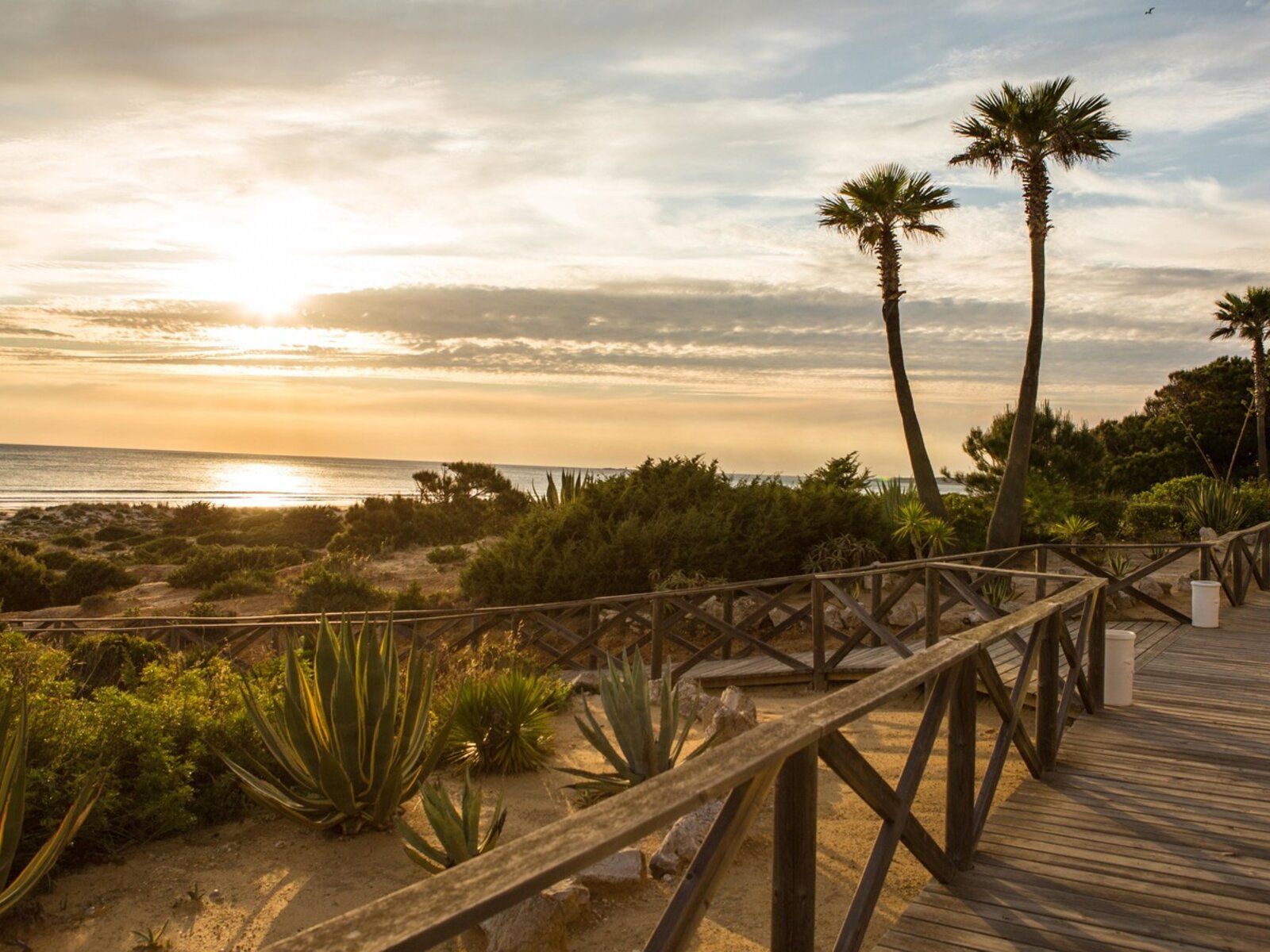 Iberostar Royal Andalus Novo Sancti Petri Spanien Steg zum Strand