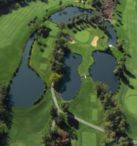 Las Americas Golf Course Teneriffa Birdie View