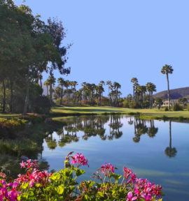 Las Americas Golf Course Teneriffa Lake View