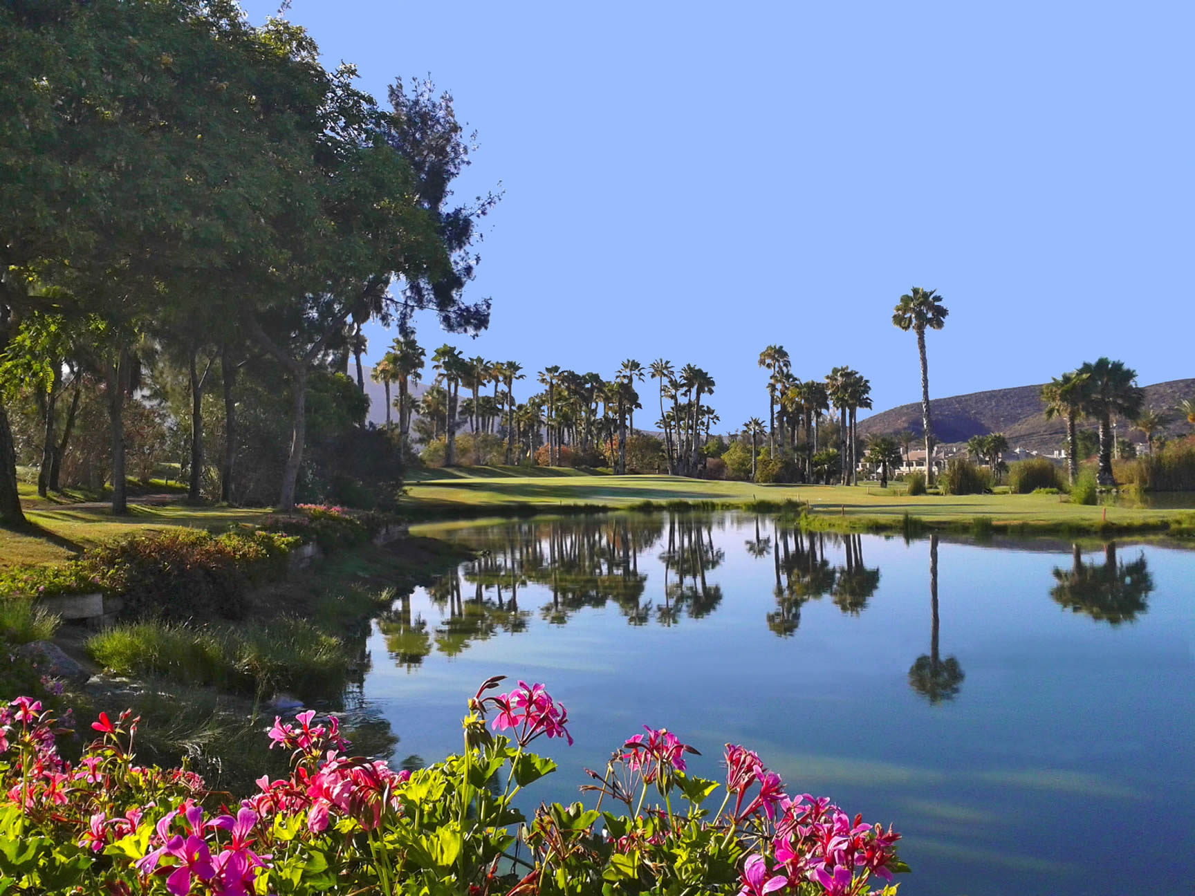 Las Americas Golf Course Teneriffa Lake View