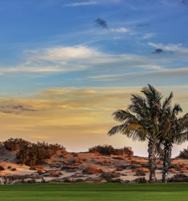 Maspalomas Golf Course Gran Canaria Fairway