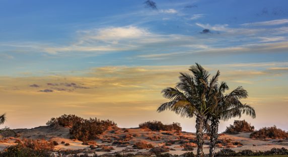 Maspalomas Golf Course Gran Canaria Fairway