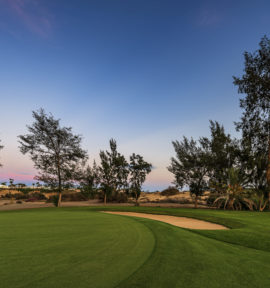 Maspalomas Golf Course Gran Canaria Green