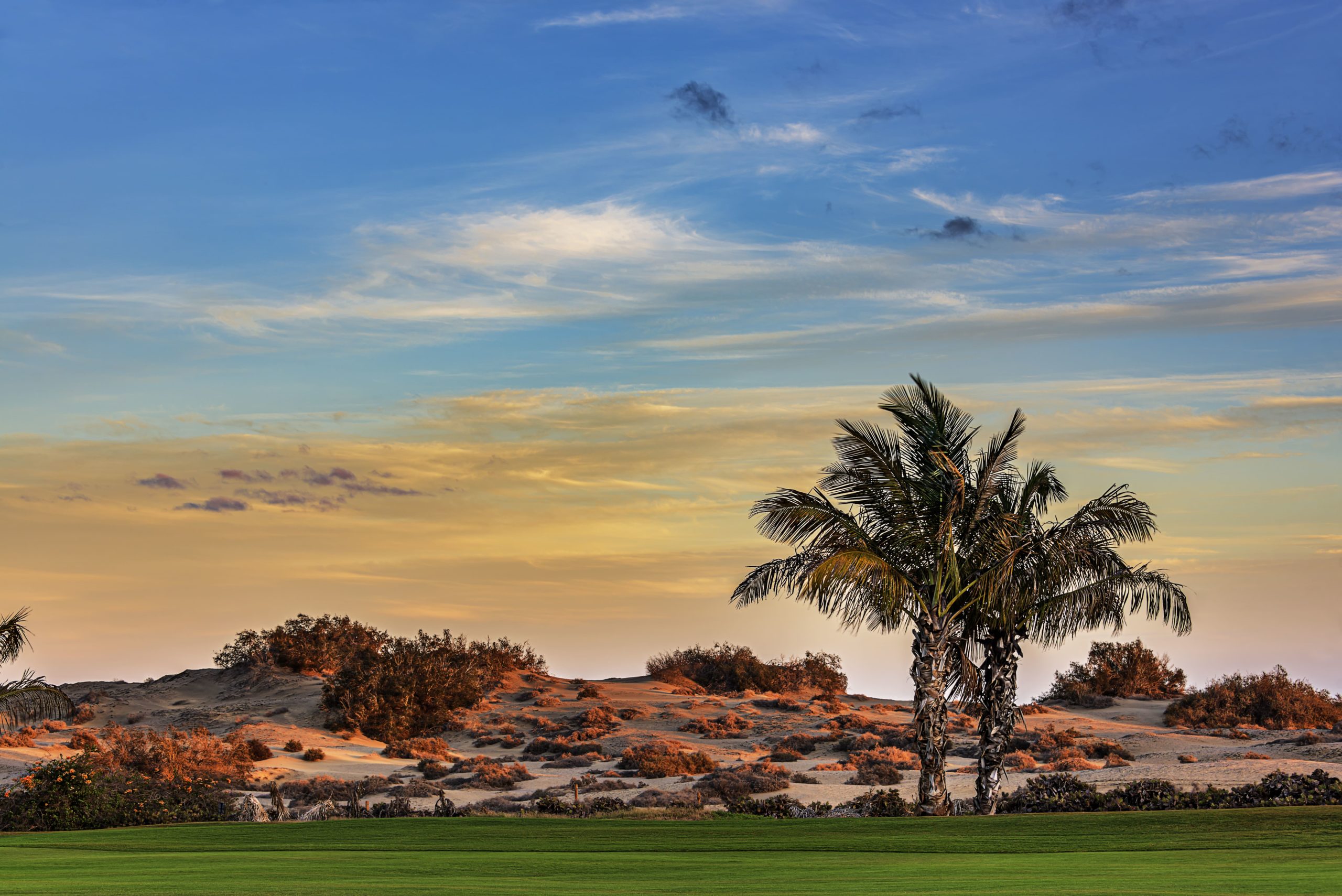 Maspalomas Golf Course Gran Canaria Fairway