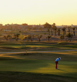 Montgomerie Golf Course Marrakesch Marokko Green