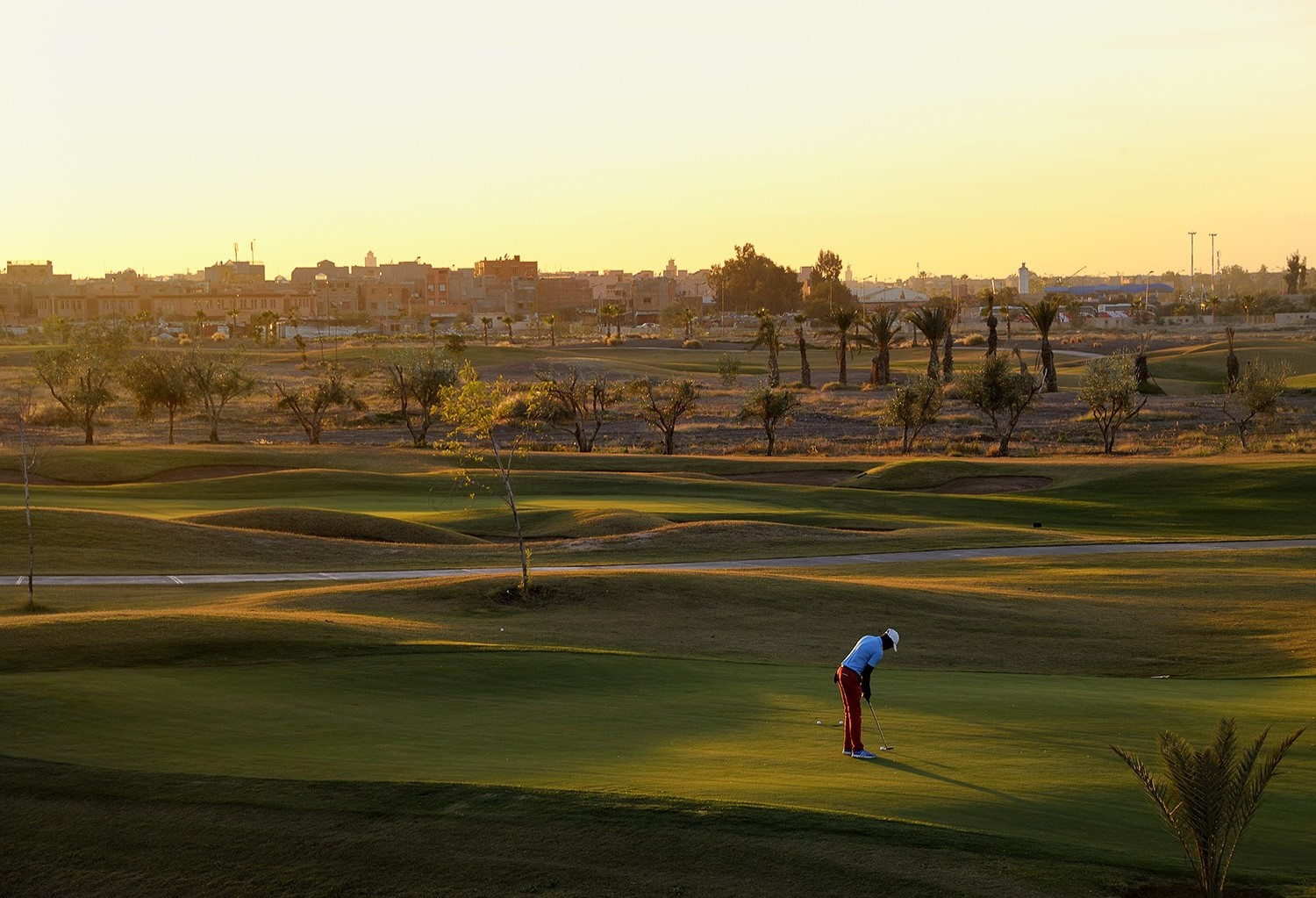 Montgomerie Golf Course Marrakesch Marokko Green