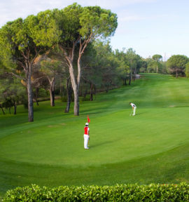 National Golf Course Belek Green