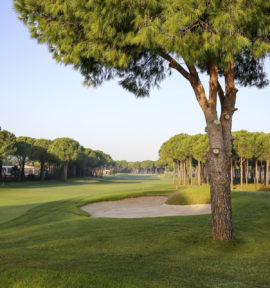 Nobilis Golf Course Belek Bunker