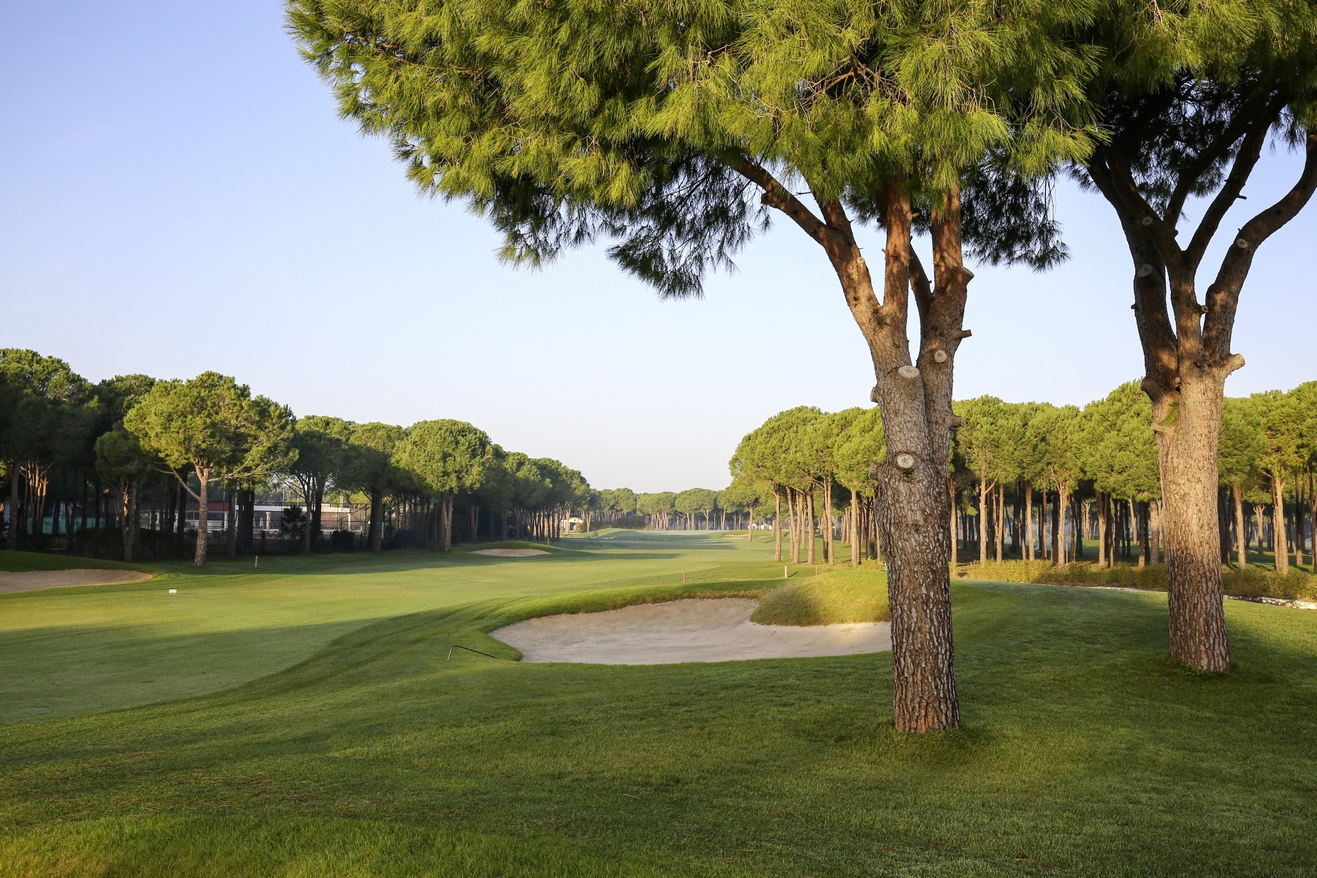 Nobilis Golf Course Belek Bunker