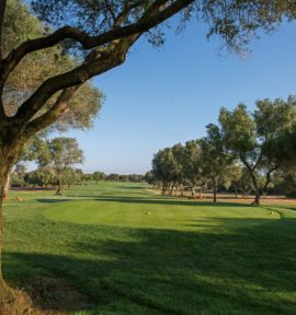 Son Antem East Course Fairway