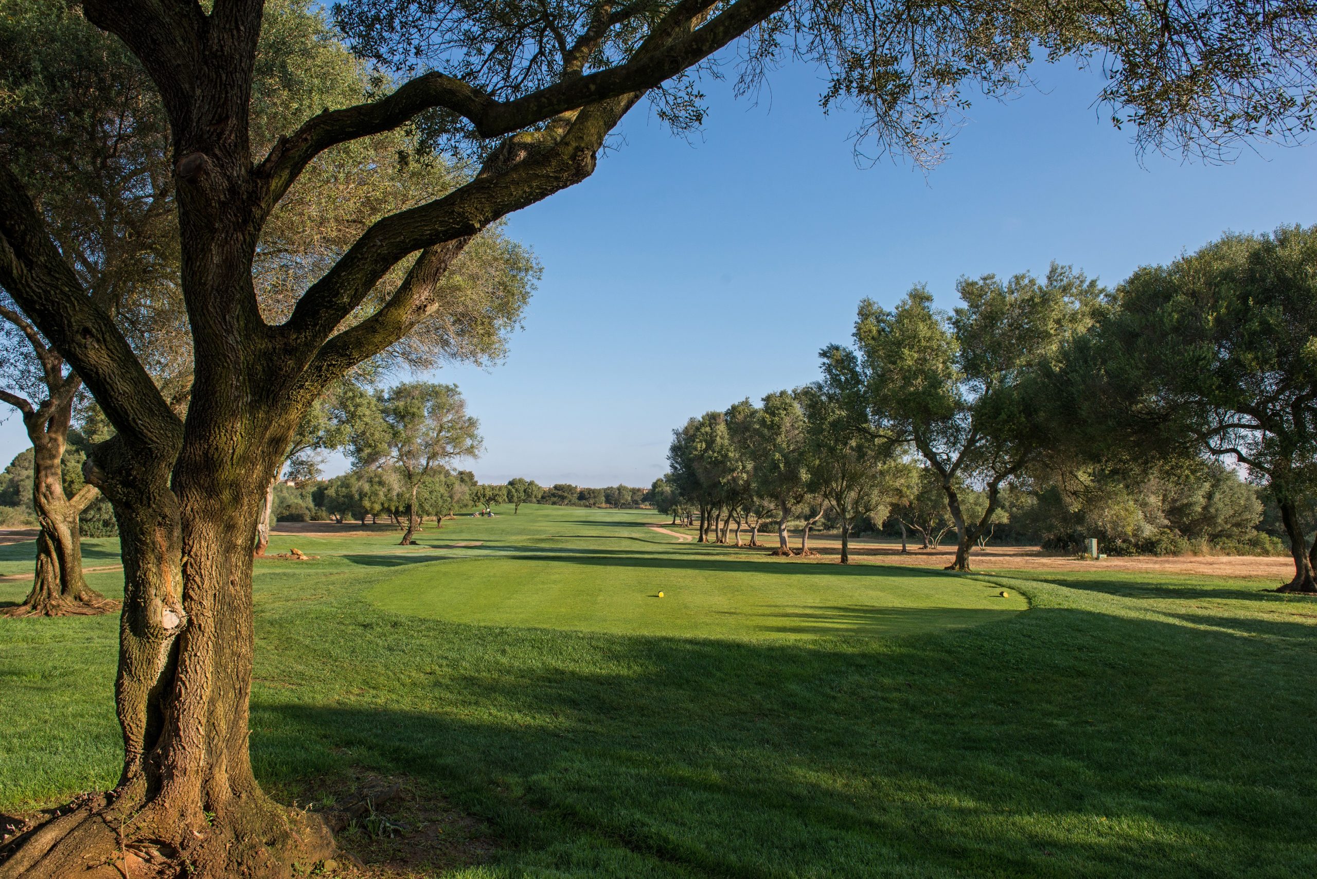 Son Antem East Course Fairway