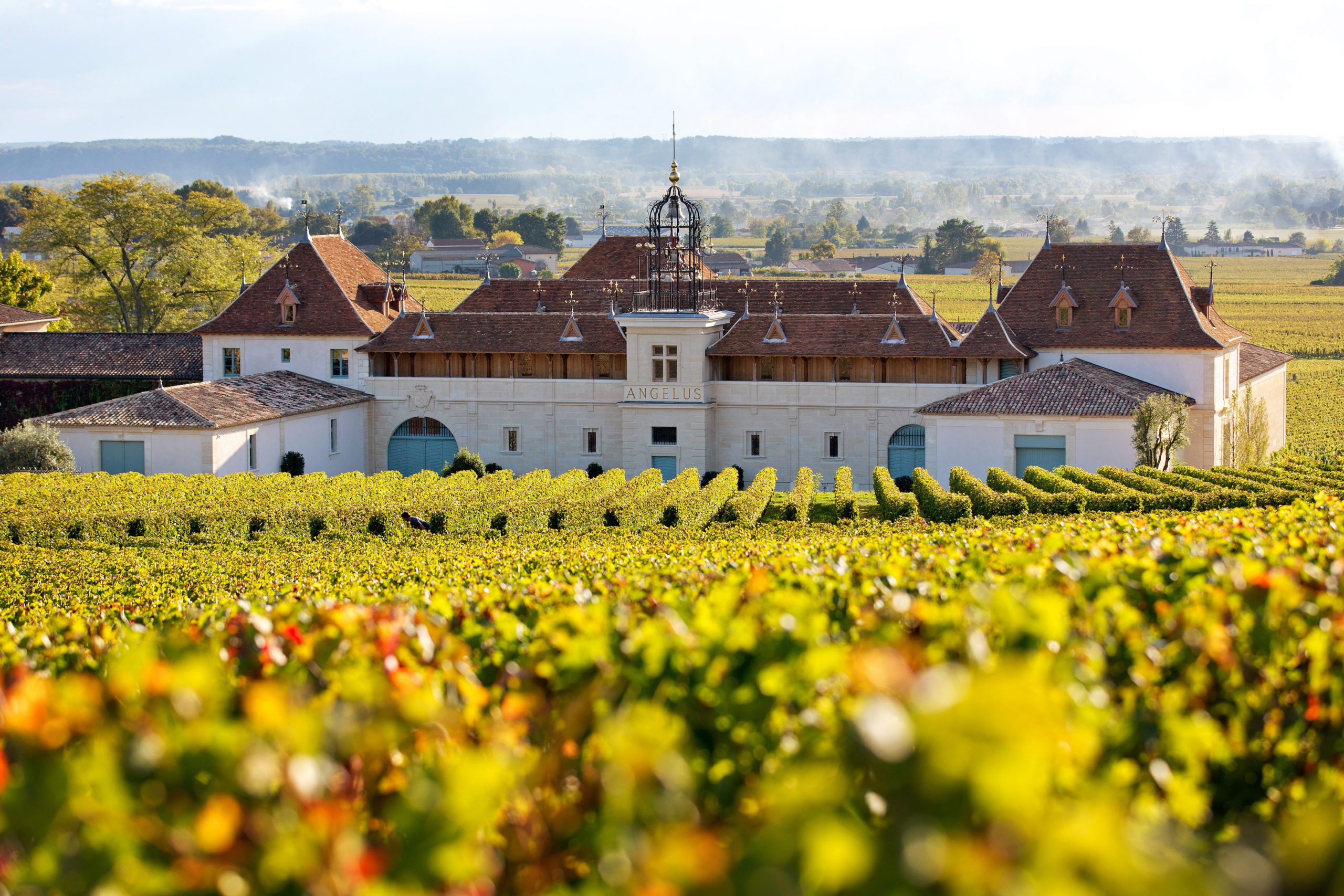 Bordeaux Wein- und Golfreise Golfspiel Weintasting