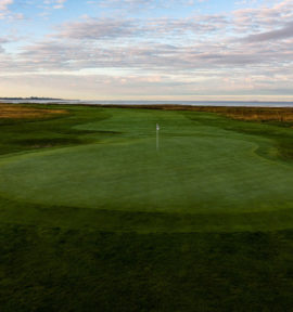 Barsebäck Golf Resort Schweden Golfplatz Green