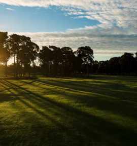 Barsebäck Golf Resort Schweden Fairway