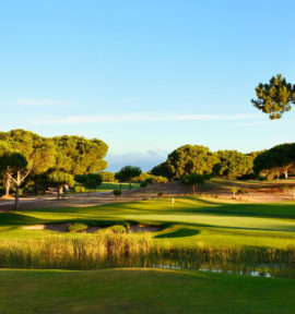 Dom Pedro Pinhal Golf Course Algarve Portugal Vilamoura Green