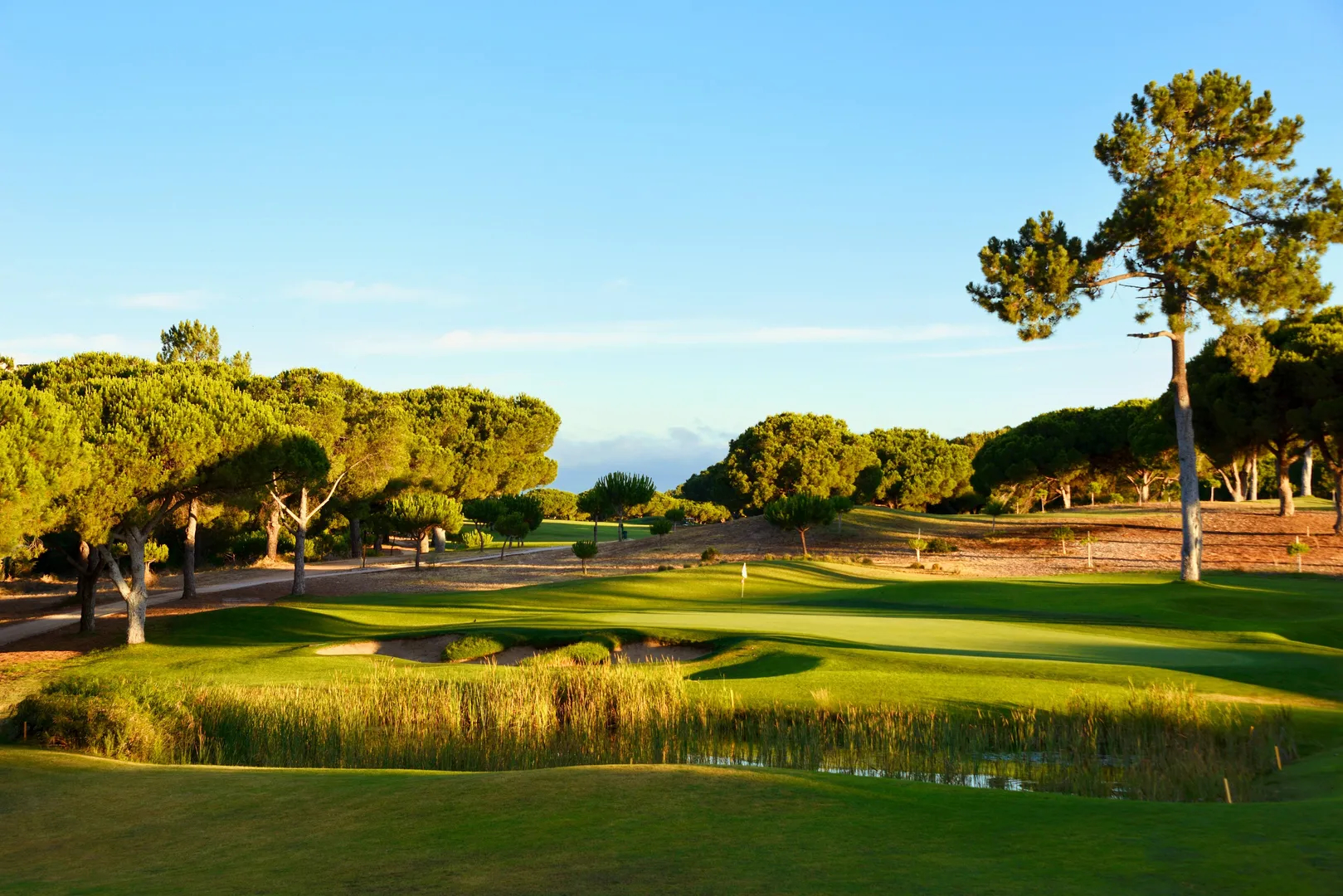 Dom Pedro Pinhal Golf Course Algarve Portugal Vilamoura Green