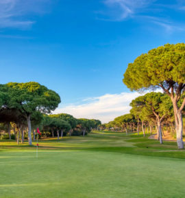 Dom Pedro Millennium Golf Course Algarve Portugal Vilamoura