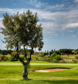 Dom Pedro Millennium Golf Course Algarve Portugal Vilamoura Green