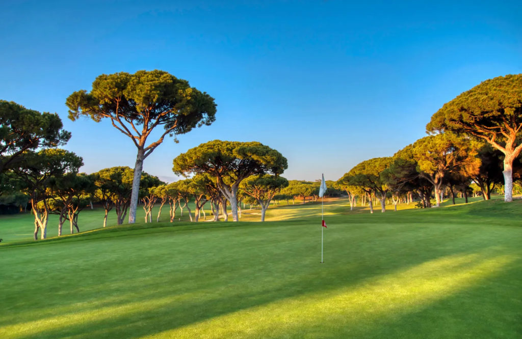 Dom Pedro Old Golf Course Algarve Portugal Green