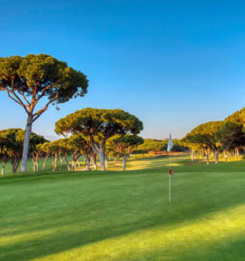 Dom Pedro Old Golf Course Algarve Portugal Green