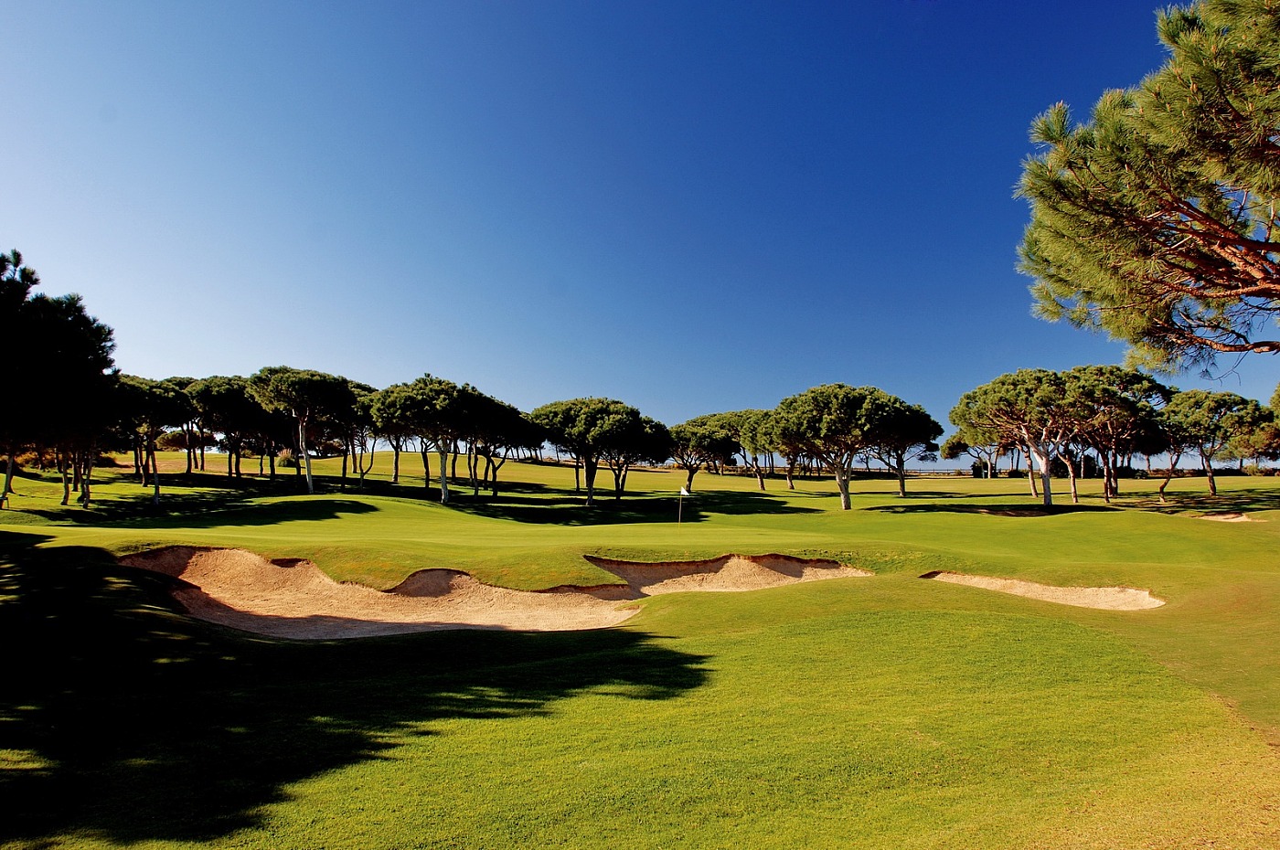 Pine Cliffs Golf Course Fairway Bunker