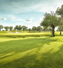 Quinta de Cima Golf Algarve Portugal Green