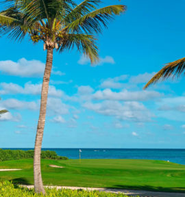 La Cana Golf Course Dominikanische Republik Karibik Green