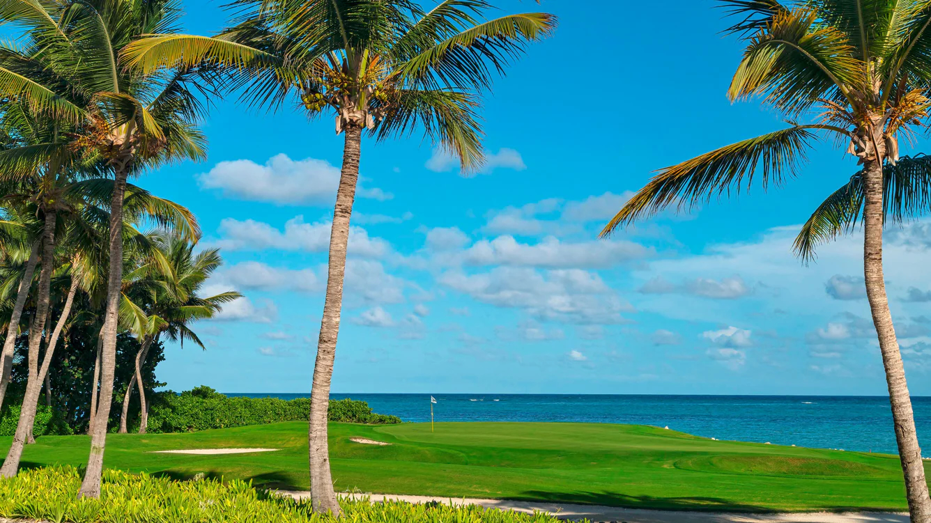 La Cana Golf Course Dominikanische Republik Karibik Green