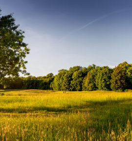 Golf & Castle Frankreich Paris Wälder und Wildnis