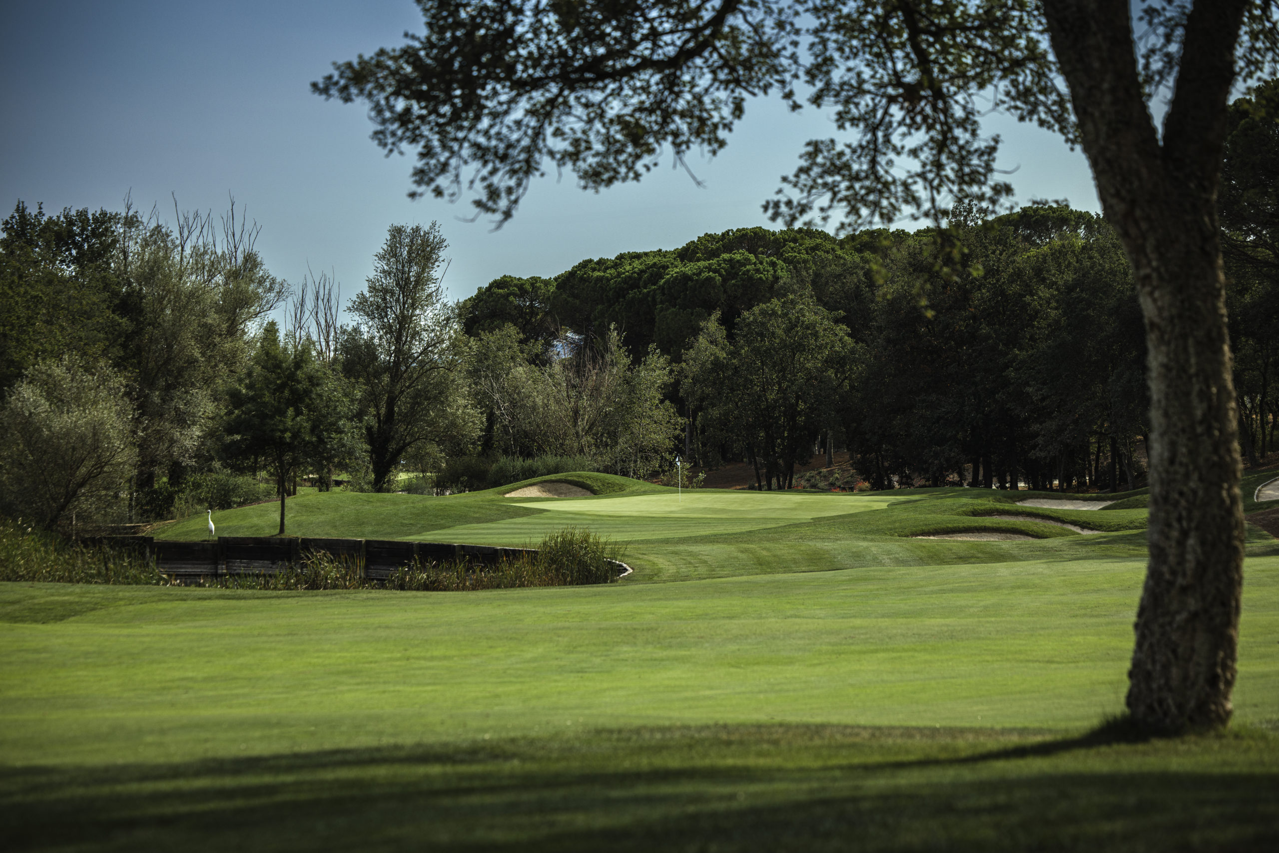 Camiral at PGA Catalunya Tour Course Fairway