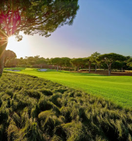 Quinta Do Lago Golf Course Portugal South Course Fairway