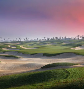 Golfreise und Golfferien Abu Dhabi Saadiyat Golf Club Palmen