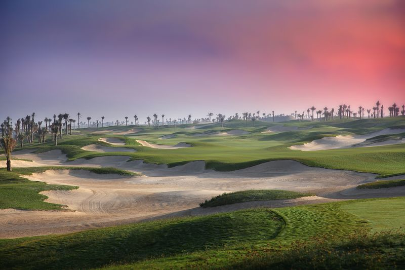 Golfreise und Golfferien Abu Dhabi Saadiyat Golf Club Palmen