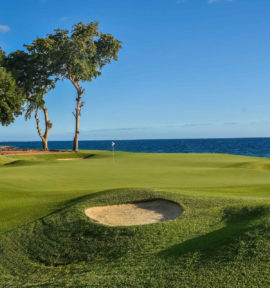 Teeth of the Dog Golfplatz Dominikanische Republik Ocean View