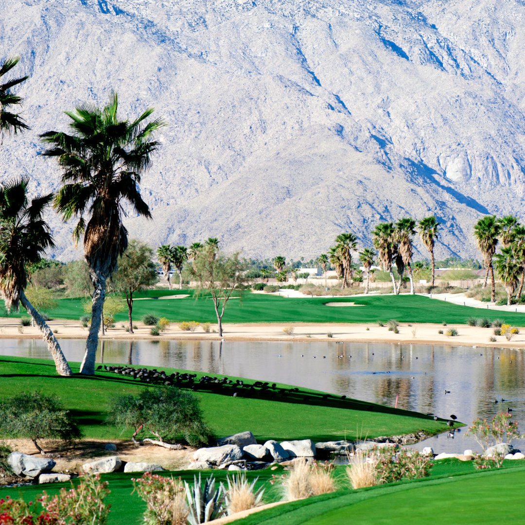 Golfferien in Palm Springs USA
