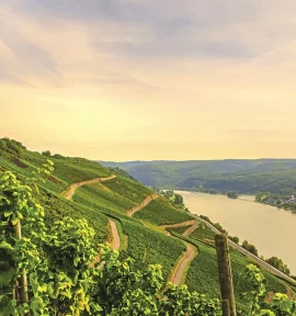 Excellence Queen Flussfahrt Golfferien Mosel