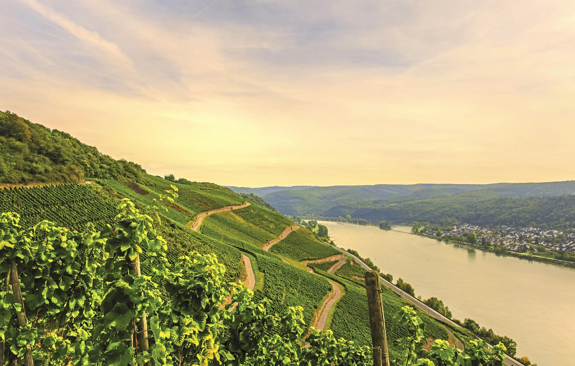 Excellence Queen Flussfahrt Golfferien Mosel