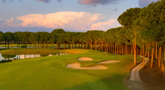 Reiseversicherer 2025: Gut abgesichert in die Golfferien