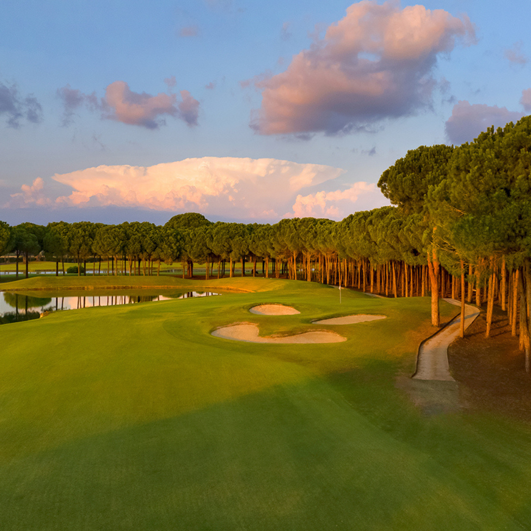 Reiseversicherer 2025: Gut abgesichert in die Golfferien