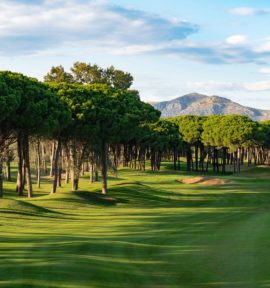 Emporda Forrest Course Tree