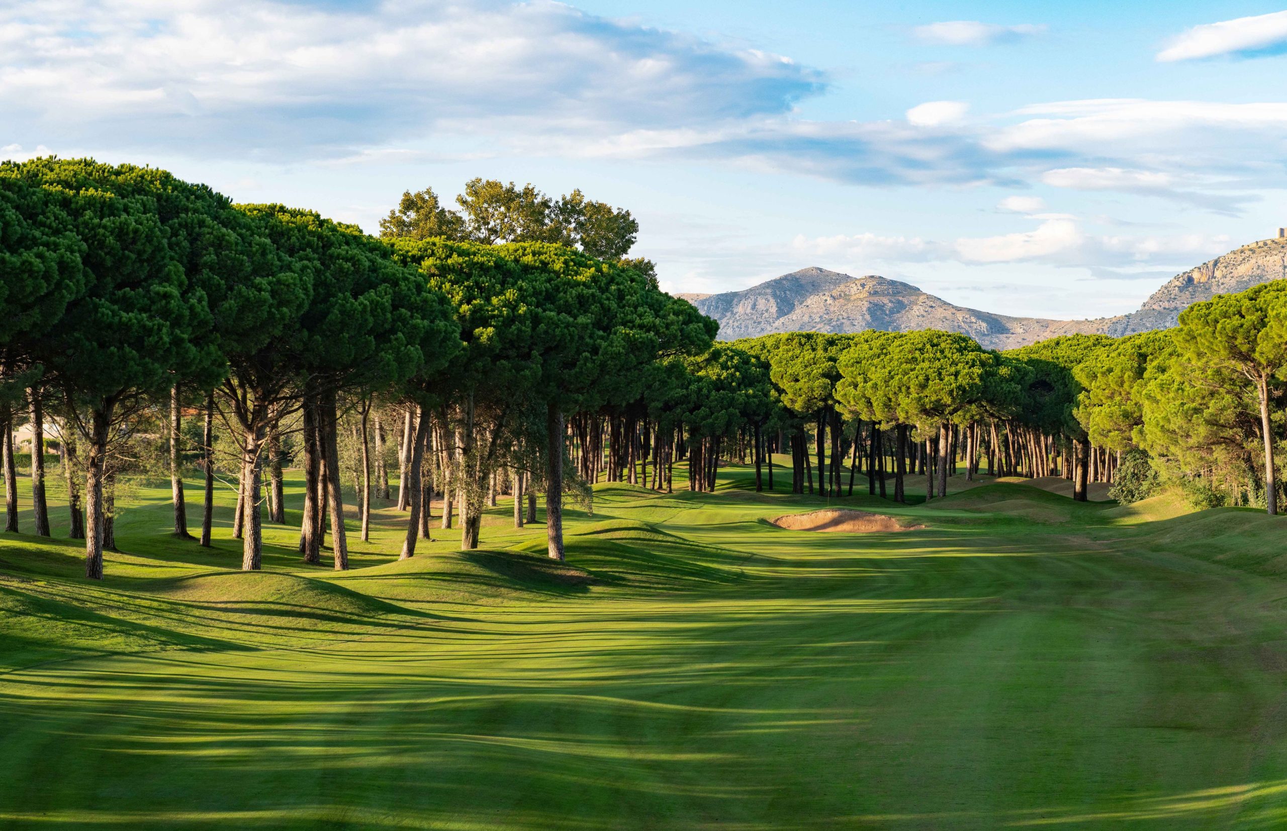 Emporda Forrest Course Tree