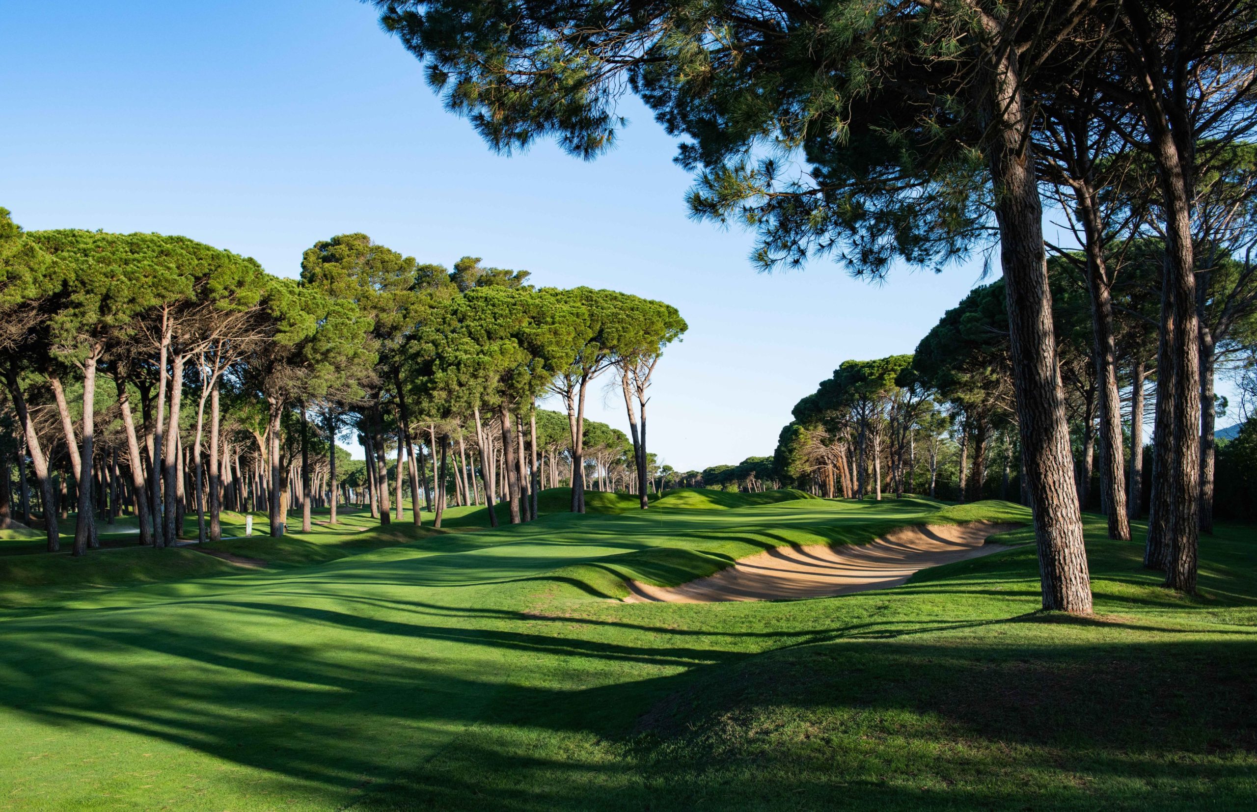 Emporda Forrest Course